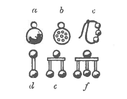Evolving designs of earrings – all roughly datable – found in the Fayum mummy portraits. From Edgar.