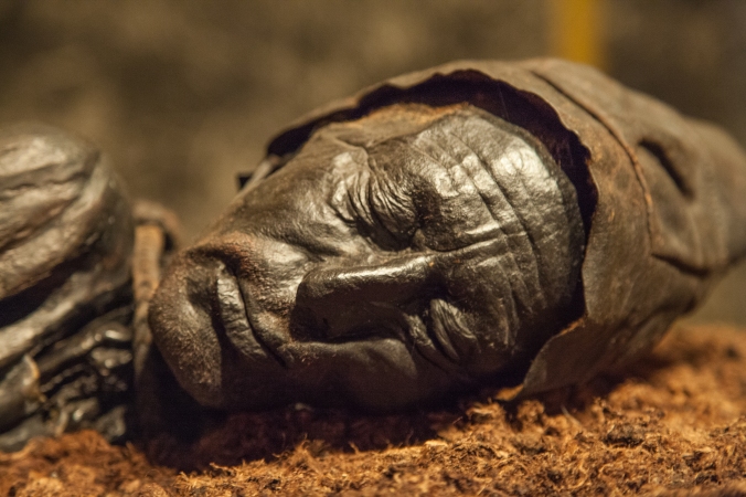 The remarkably-preserved face of Tollund Man, who was hanged in a Danish bog around 350 B.C. and found naked but for a leather belt and cap. He was apparently a human sacrifice whose remains were treated with care and respect after his death.