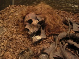 Bocksten Man is one of the latest of the bog bodies. His remains, found in Sweden, date to the 14th century A.D. He had been beaten to death; his hair was dyed red by the waters of the bog.