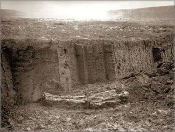 The oldest known photograph of a bog body in situ – this one excavated at Fattiggårdens Mose, in Denmark, in 1898.