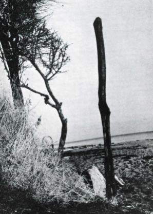 A bog idol representing an earth goddess, found in 1961 and re-erected at Foerlev Nymolle. The carving is nine feet high and would have dominated the flat landscape of the bog.