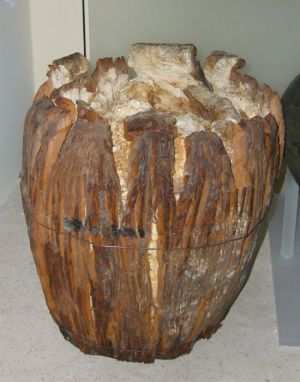 A smashed keg of bog butter, found in an Irish bog and dating to around 310 A.D. Hundreds of bog butter finds have been made; archaeologists differ as to whether Iron Age peoples used bogs as primitive refrigerators or whether the butter was intended as offerings.