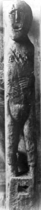 The Ballachulish figure photographed just after its discovery, and before it was allowed to dry out. Note her hands, which appear to grasp a pair of severed penises.