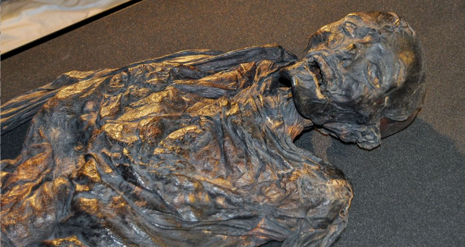 The body of "Queen Gunhild" – more properly known today as Haraldskær Woman – was found in 1835 and, thanks to careful treatment and storage, is exceptionally well preserved today.